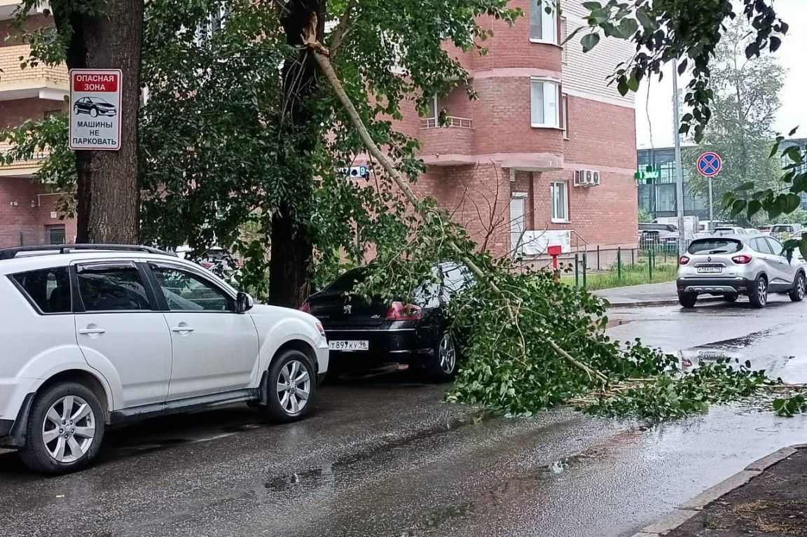 Фоторепортаж: последствия ночного урагана в Екатеринбурге - «Уральский  рабочий»